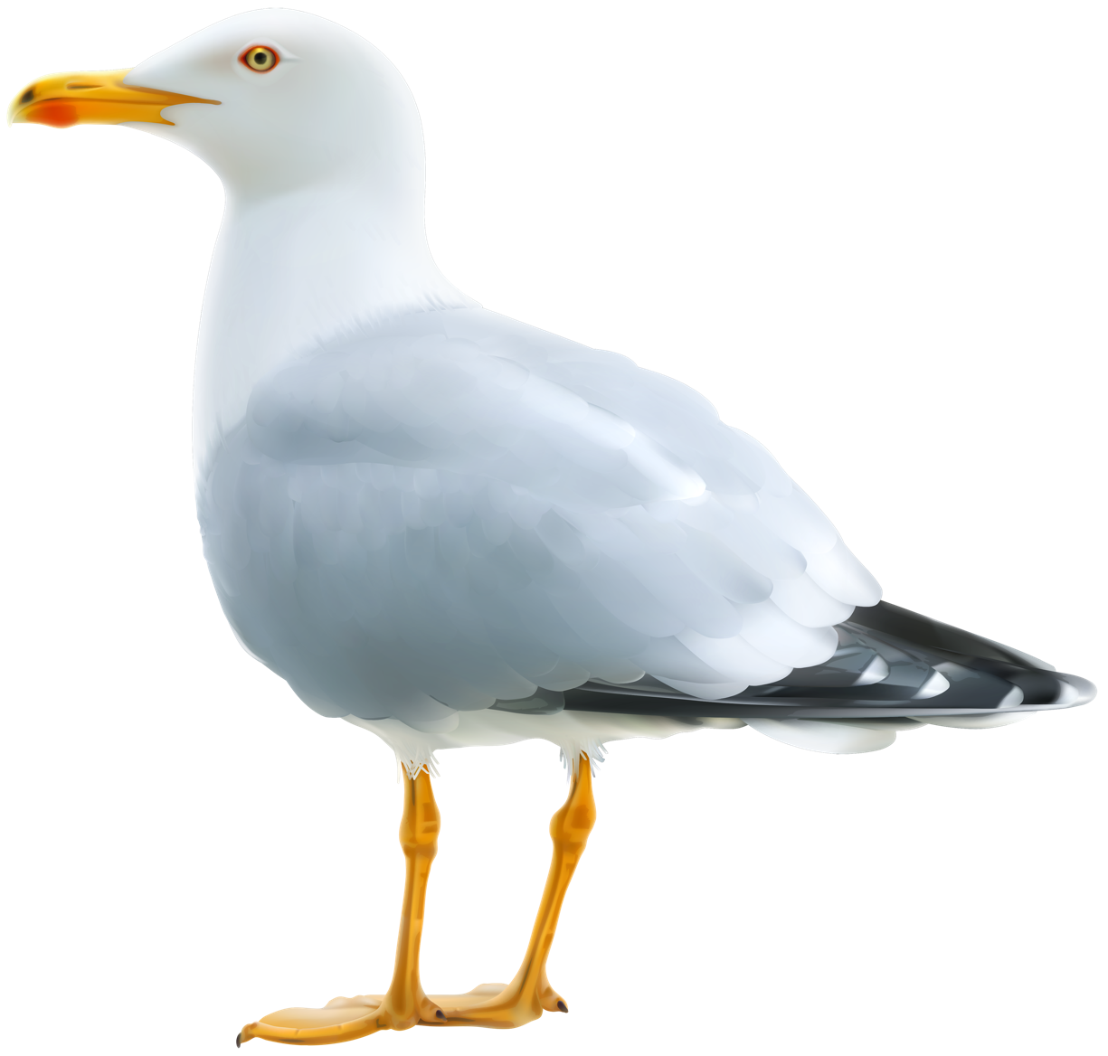 27